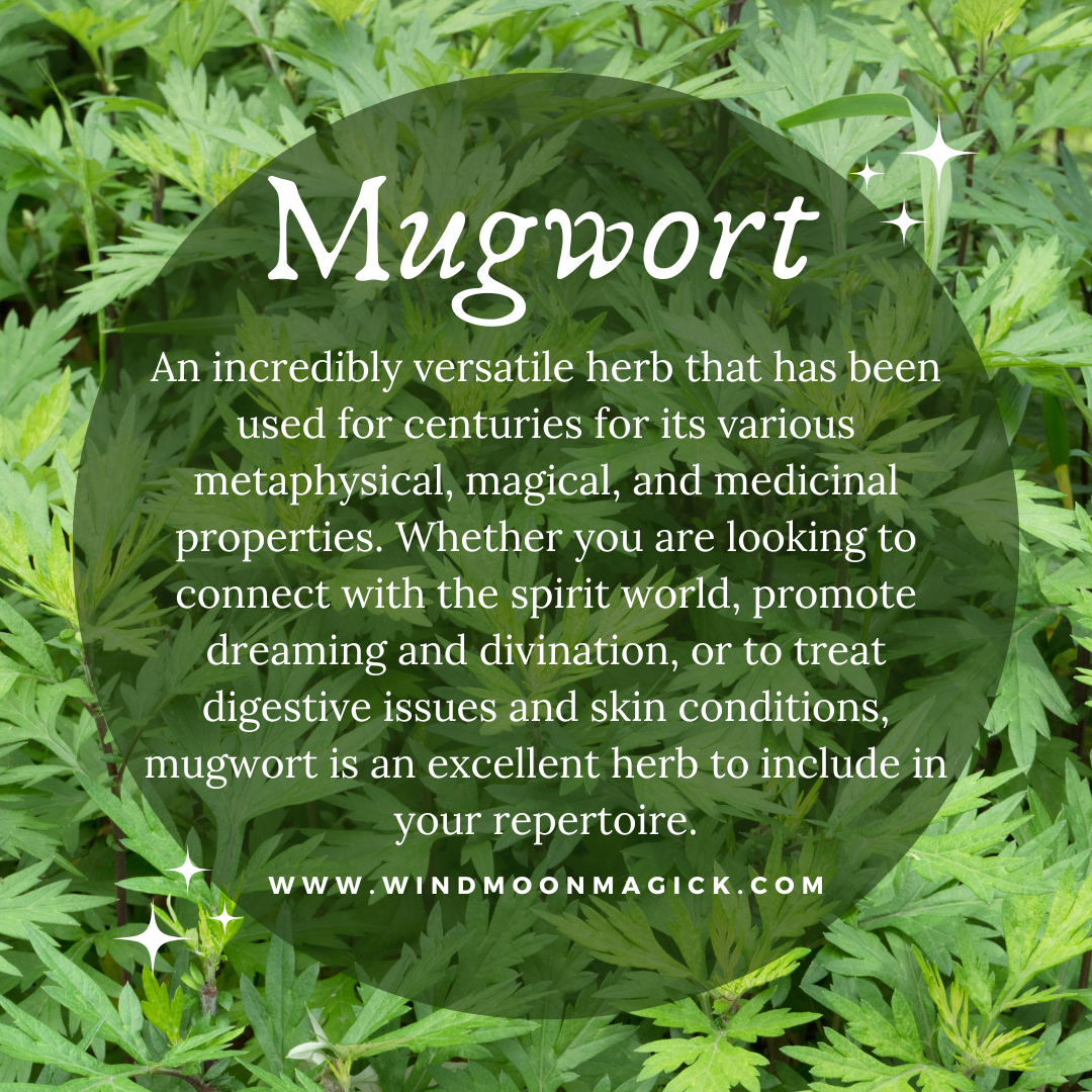 Pure & Natural Mugwort